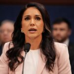 report:-roger-stone-stepped-in-and-‘saved’-tulsi-gabbard-from-being-fired-by-trump