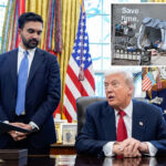 trump-gives-zohran-mamdani-three-tips-to-improve-nyc-on-his-100th-day-as-mayor:-‘make-it-sparkle’