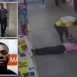 trump-blames-biden-for-allowing-‘animal’-haitian-migrant-accused-of-bludgeoning-florida-mother-to-death-into-us