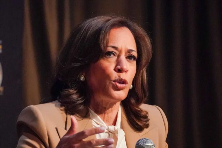 kamala-harris-said-she-‘might’-run-for-president-in-2028-—-reveals-to-al-sharpton-her-political-comeback-deliberations