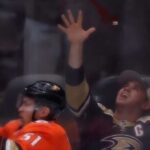 lucky-hockey-fan-catches-foul-tooth