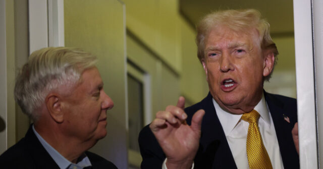 trump-throws-support-behind-lindsey-graham,-attacks-graham-challenger-mark-lynch