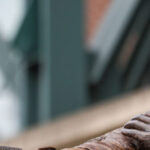 watch:-bat-breaks-on-ichiro-suzuki-statue-during-unveiling