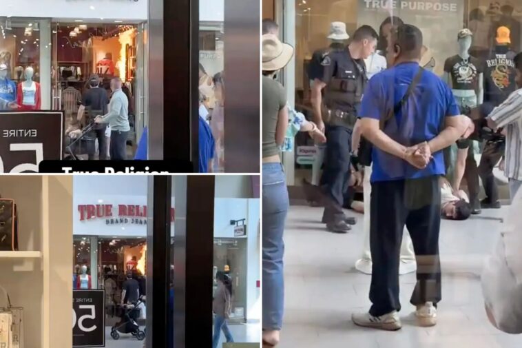 terrifying-video-shows-suspected-arsonist-torch-true-religion-jeans-store-in-huge-socal-shopping-mall