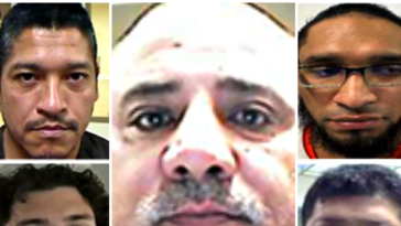 exclusive:-ice-arrests-illegal-alien-killers,-child-predators,-sexual-abusers-on-anniversary-of-victims-unit-for-angel-families