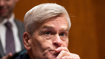 report:-bill-cassidy-risks-missing-runoff-as-letlow,-fleming-surge-in-louisiana-senate-race