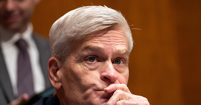 report:-bill-cassidy-risks-missing-runoff-as-letlow,-fleming-surge-in-louisiana-senate-race
