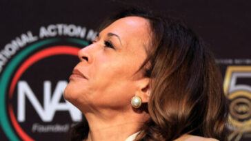 kamala-harris-says-she-‘might’-run-in-2028