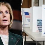 watchdog,-gop-lawmaker-warn-ny-voter-registration-systems-lacks-key-safeguards