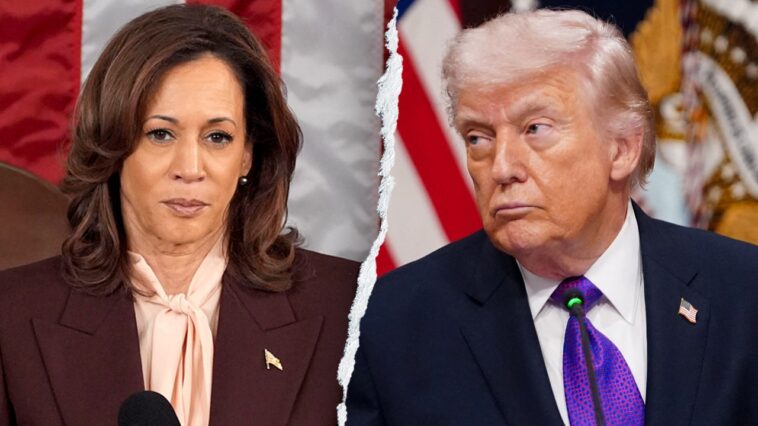 social-media-erupts-after-harris-introduces-‘mob-boss’-accent-to-attack-trump:-‘total-cringe’