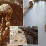 mystery-deepens-as-skeletons-with-sword-wounds-found-beneath-elementary-school
