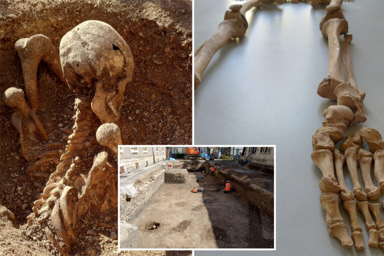 mystery-deepens-as-skeletons-with-sword-wounds-found-beneath-elementary-school