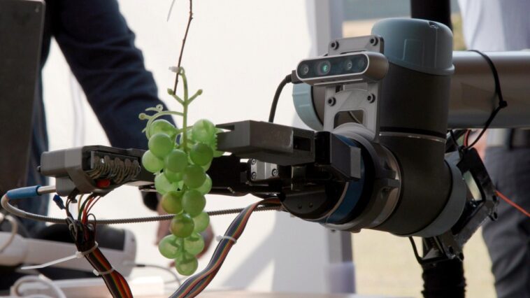 ai-could-be-coming-for-your-wine-as-experts-turn-to-technology-for-industry-overhaul