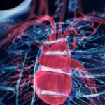 did-cia-use-covert-tech-to-find-lost-airman?