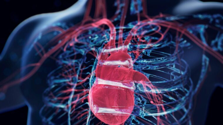 did-cia-use-covert-tech-to-find-lost-airman?