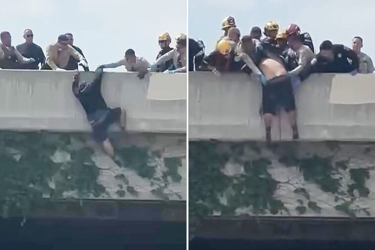 heart-stopping-moment-rescuers-swoop-in-on-man-trying-to-jump-from-la-overpass