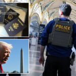 ice-launches-new-effort-to-crack-down-on-‘birth-tourism-schemes’-across-the-us