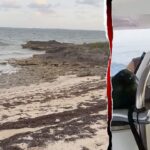 boatyard-employee-found-‘exhausted’-missing-american’s-husband-when-he-washed-ashore-after-night-adrift