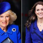 queen-camilla-and-kate-middleton’s-royal-battle-over-blue-sparked-palace-tension:-expert