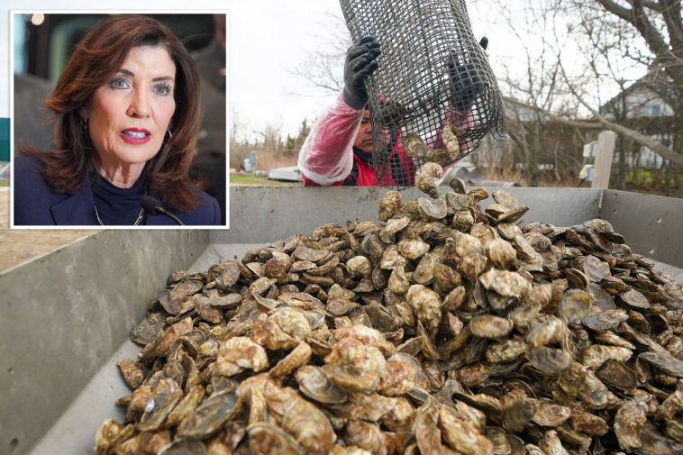 long-island-county-may-be-declared-‘disaster-area’-over-oyster-crisis:-‘supply-and-demand’