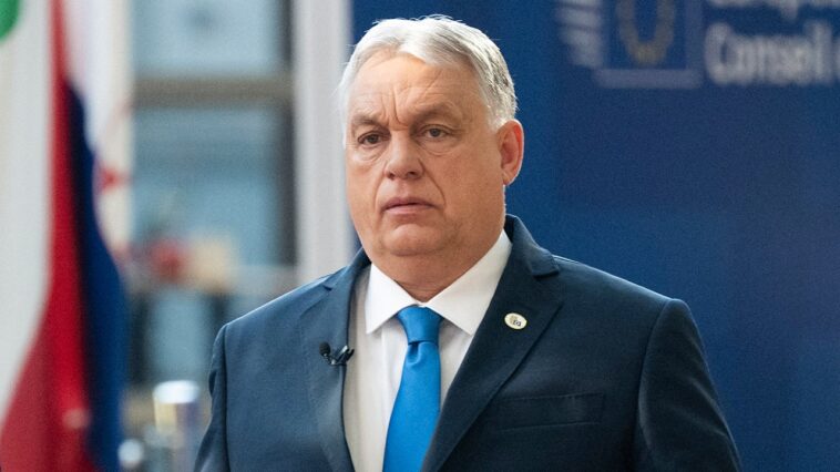 viktor-orban-concedes-defeat-as-opposition-leader-heads-for-potential-supermajority-win