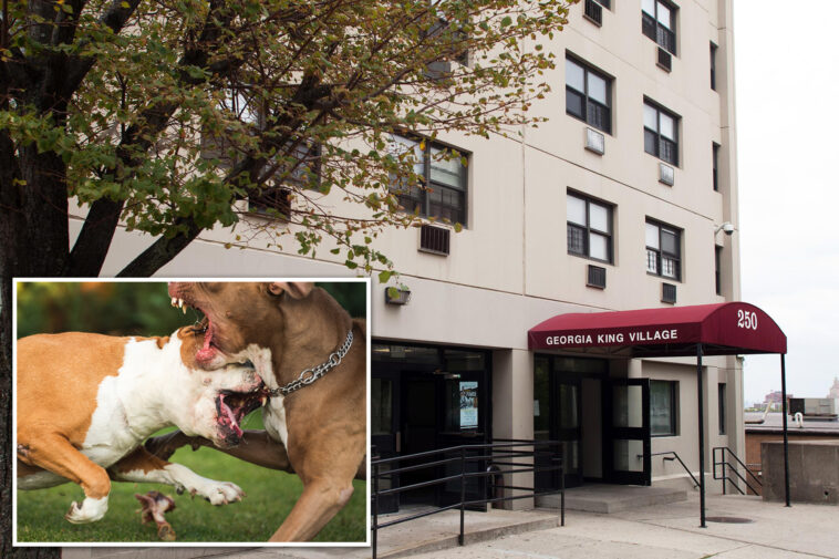 nj-pit-bulls-kill-good-samaritan-who-tried-to-break-up-their-fight