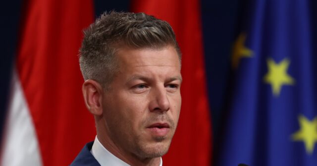 hungary-elections:-who-is-peter-magyar-and-why-are-obama-and-clinton-so-excited-about-him?