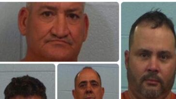 sheriff:-five-cattle-rustlers-charged-for-stealing-and-slaughtering-texas-livestock