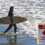 socal-beaches-set-to-be-shark-attack-hotspots-as-warm-waters-attract-deadly-predators