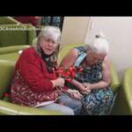 justice-department-fires-four-prosecutors-who-weaponized-face-act-under-merrick-garland-and-jailed-christians-praying-at-abortion-clinic