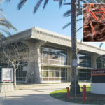 panic-on-campus-as-college-students-exposed-to-drug-resistant-contagious-disease