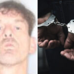 upstate-ny-man-allegedly-tried-to-stab-family-member-—-while-dressed-as-a-cow