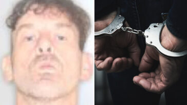 upstate-ny-man-allegedly-tried-to-stab-family-member-—-while-dressed-as-a-cow