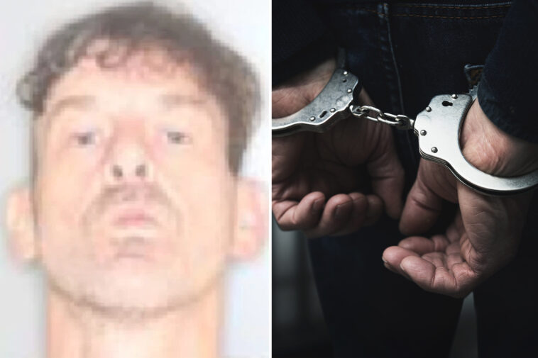 upstate-ny-man-allegedly-tried-to-stab-family-member-—-while-dressed-as-a-cow