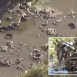 disgusting-crisis-embroils-beach-enclave-as-locals-evacuate