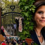 elise-stefanik:-the-moment-the-ivy-league-lost-the-country