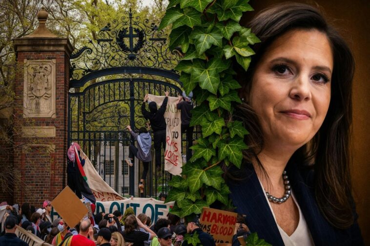 elise-stefanik:-the-moment-the-ivy-league-lost-the-country