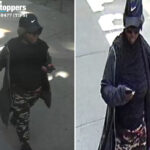 female-stranger-randomly-shoves-71-year-old-to-ground-in-nyc-–-leaving-her-bruised-up-with-jaw-injury:-cops