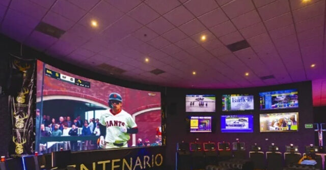 us.-treasury-identifies-two-cartel-connected-casinos-in-mexican-border-state