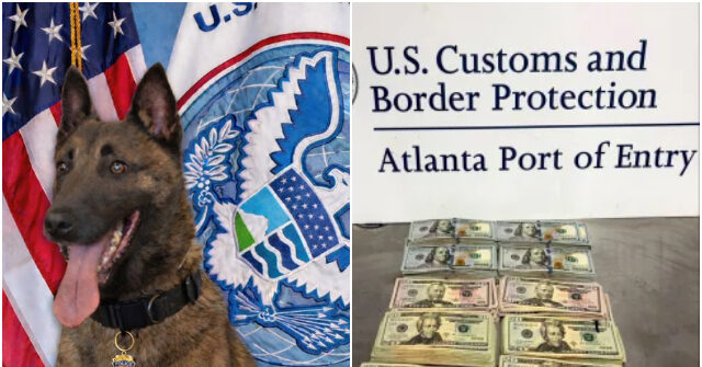 police-dog-‘pub’-helps-seize-$75,000-in-illicit-cash-at-atlanta-airport