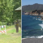 carlsbad-woman’s-naked-body-found-in-the-woods-of-big-sur:-‘shocked’