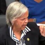 unhinged-dem-congresswoman:-“if-we-wanted-to-eliminate-abuse…we’d-eliminate-the-president-of-the-united-states-from-office”-(video)