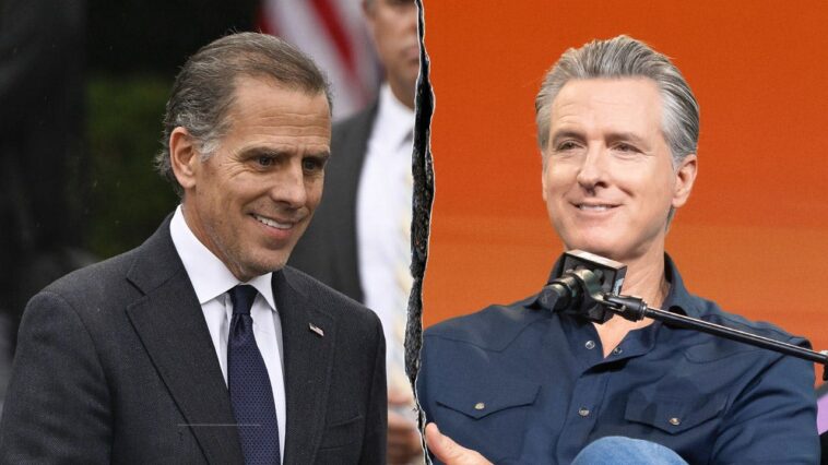 hunter-biden-trashes-democratic-leadership,-hails-gavin-newsom-as-party’s-‘greatest-warrior’