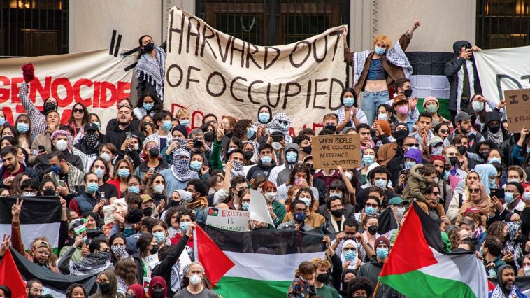 harvard-president-calls-students-‘ignorant’-on-israel-palestinian-conflict