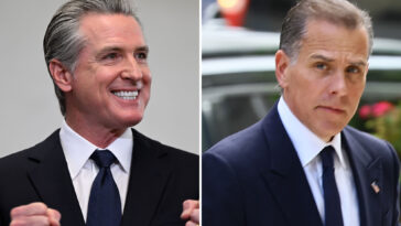 hunter-biden-trashes-democratic-leadership,-hails-gavin-newsom-as-party’s-‘greatest-warrior’