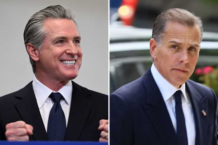 hunter-biden-trashes-democratic-leadership,-hails-gavin-newsom-as-party’s-‘greatest-warrior’