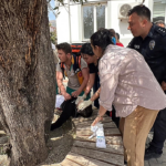 nine-dead,-13-wounded-in-second-turkish-mass-shooting-in-two-days