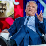 rfk-jr.-once-chopped-off-a-dead-raccoon’s-penis-to-‘study-later’-while-on-a-family-road-trip