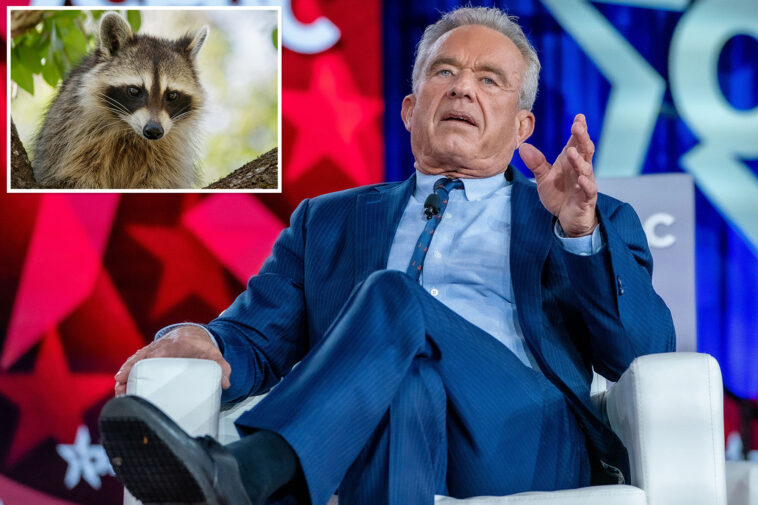 rfk-jr.-once-chopped-off-a-dead-raccoon’s-penis-to-‘study-later’-while-on-a-family-road-trip