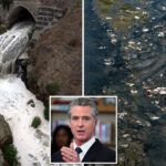 san-diego-official-demands-gavin-newsom-clean-up-heinous-river-stench,-sewage-coming-from-tijuana:-‘it-feels-like-hell’